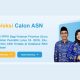 Pengumuman hasil kelulusan seleksi administrasi PPPK tahap 2 tahun 2024 oleh BKN