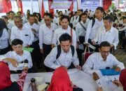 Resmi! Honorer Akan Diangkat Jadi PPPK 2025, Ini 2 Skema Penting yang Harus Kamu Tahu!